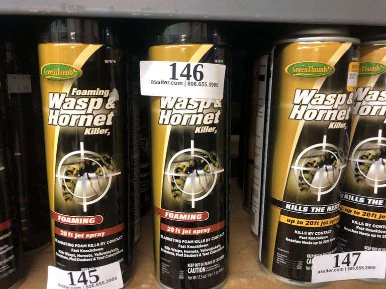 (6) 17.5oz GT Foaming Wasp & Hornet Killer