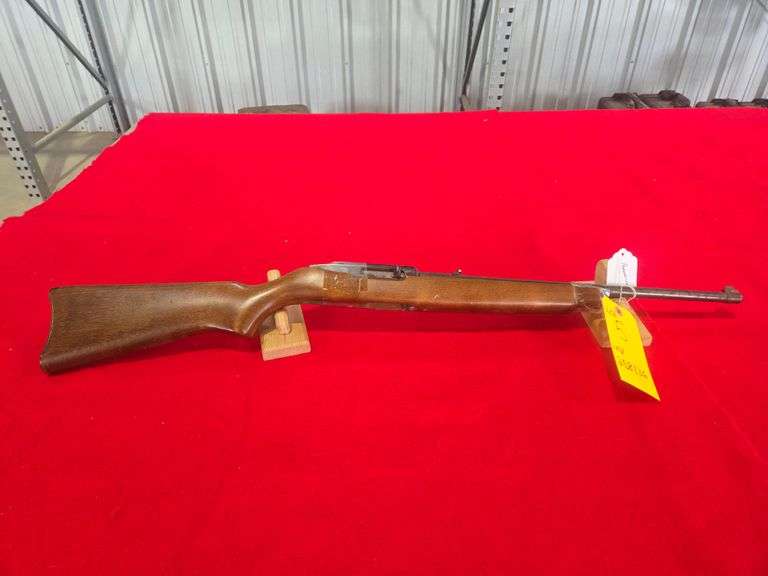 Ruger  10-22  Rifle