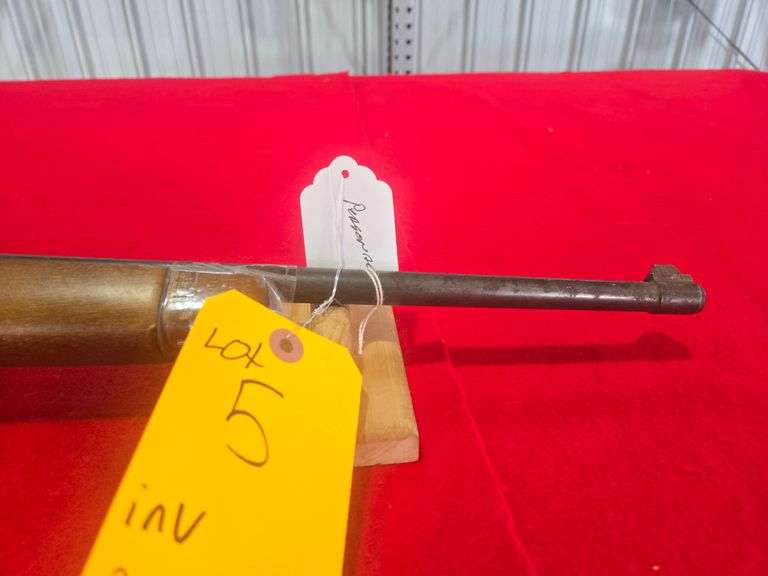 Ruger  10-22  Rifle
