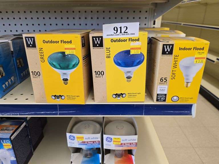 (4) 100 watt Outdoor Floodlight (Blue & Green) w/(3) Indoor/Outdoor Flood lamps