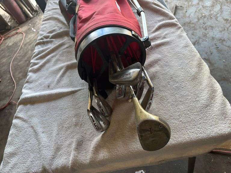Golf clubs with bag