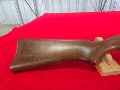Ruger  10-22  Rifle