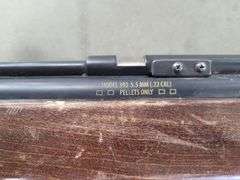 Crosman 392 .22 Cal(Pellet) Air Rifle