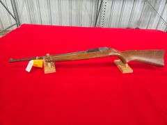 Ruger  10-22  Rifle