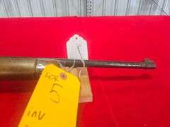 Ruger  10-22  Rifle