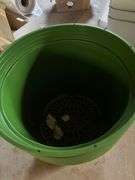 Green tubs