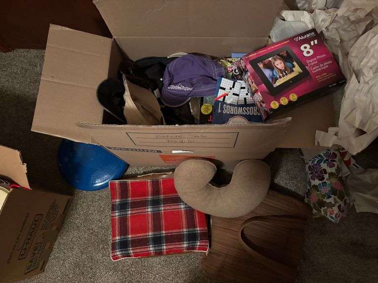 Neck pillow, bags, caps, Digital photo frame, bins, misc
