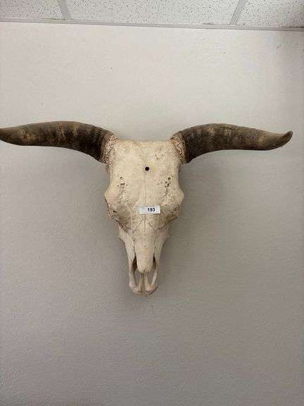 Head display