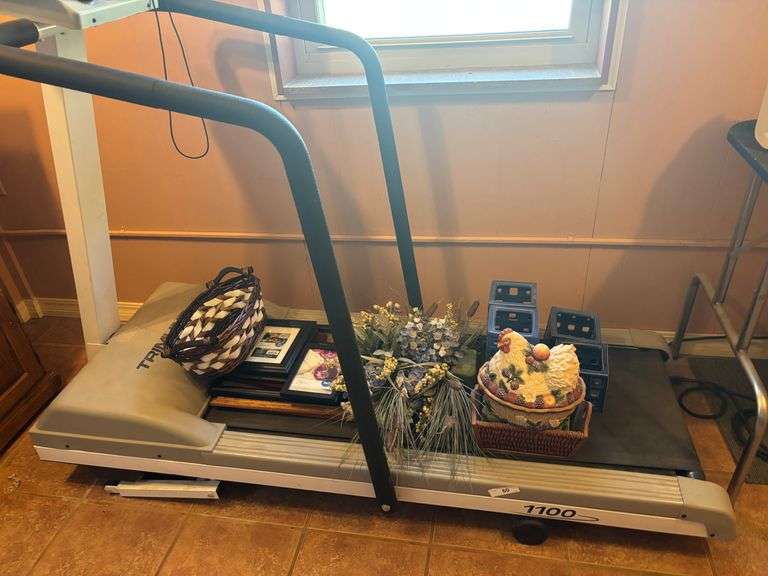 Treadmill, bins, fake flowers, chicken decor, photo frames misc