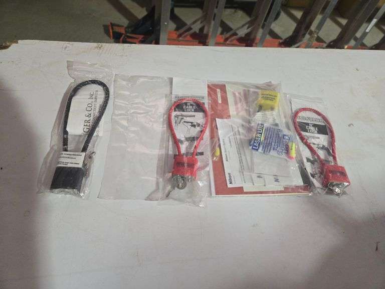 (4) Gun Locks