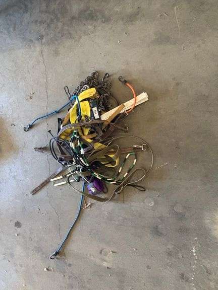 Dog Leashes, bands, chains