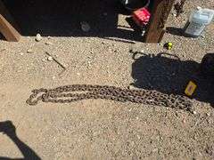 (18' - 3/8") Chain