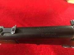 .22S/.22L Remington  6  Rifle