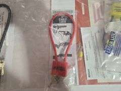 (4) Gun Locks