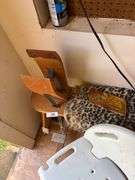 Table with chair, sign with fan