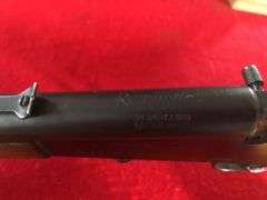 .22S/.22L Remington  6  Rifle