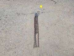 (5) Chains With Snaps