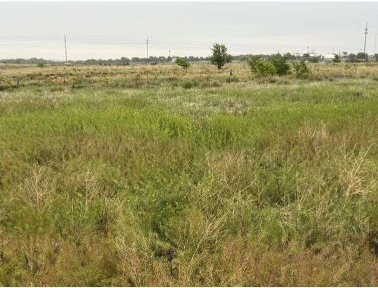 17 LOTS SOLD ALL TOGETHER! 