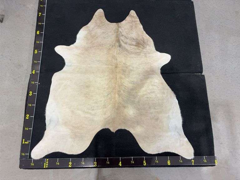 Ivory With Beige Cowhide