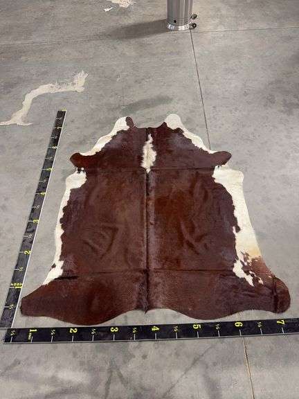 Dark Brown & White Regular Cowhide