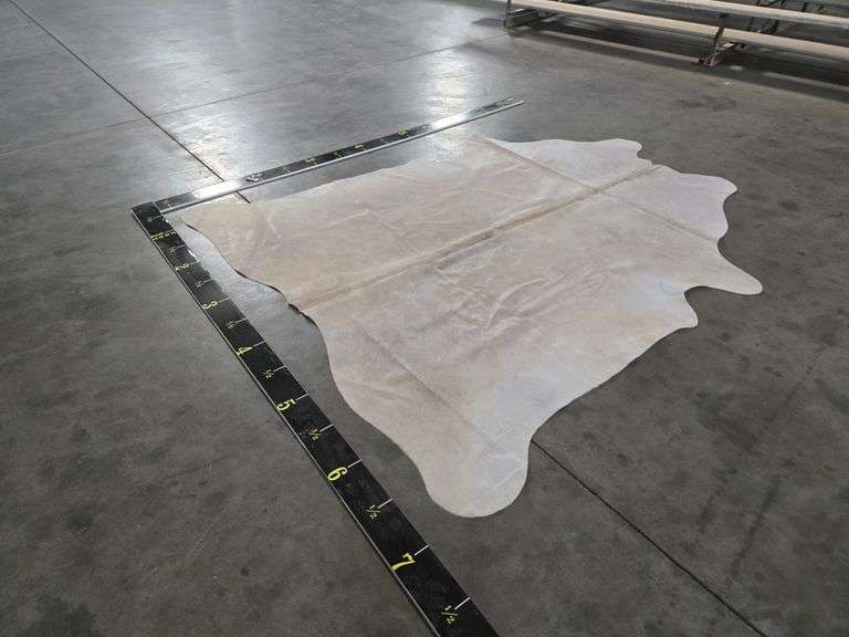Ivory With Beige Hide