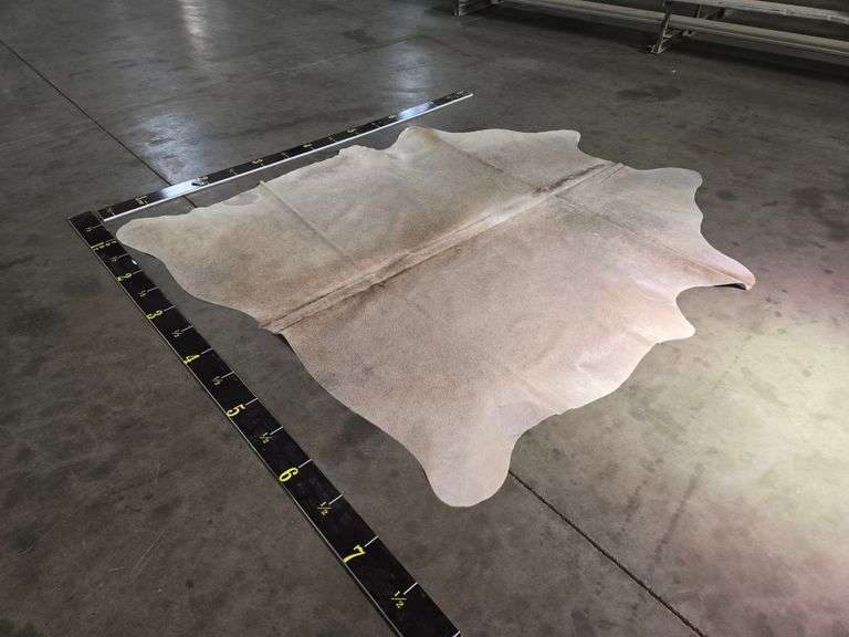 Ivory With Beige Hide