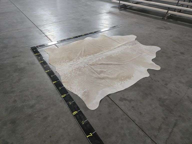 Ivory With Beige Hide