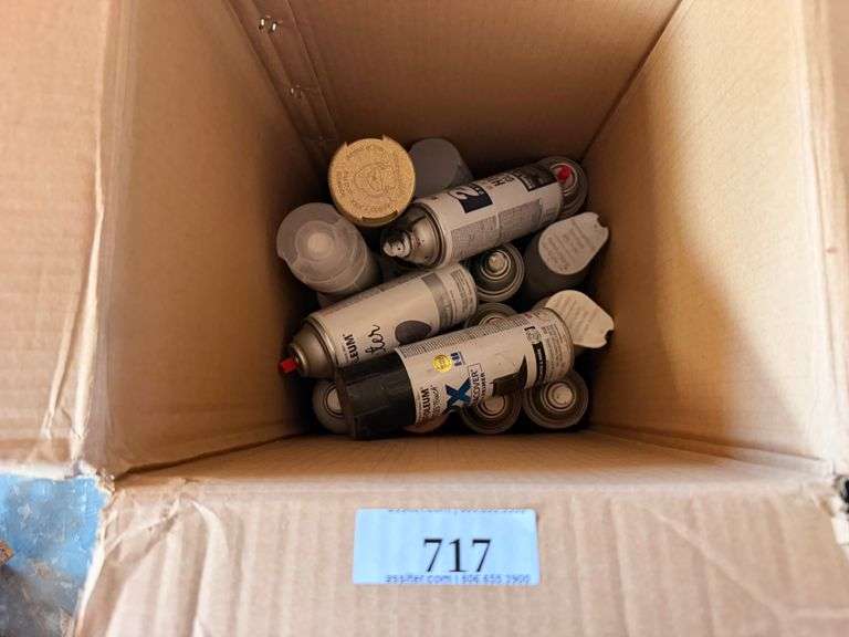 Box Lot of Aerosol Spray Paint and Related Cans