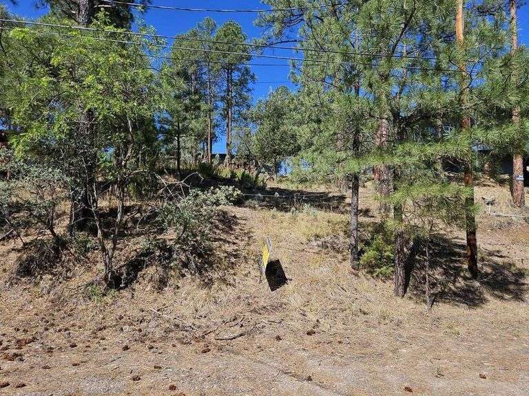 113 Blue Spruce Dr, Ruidoso, NM 88345