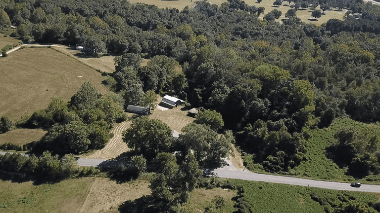 Lot 1