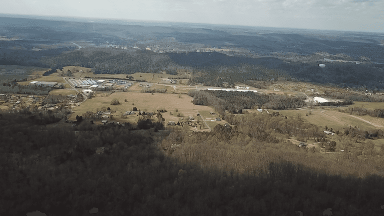 Lot 1