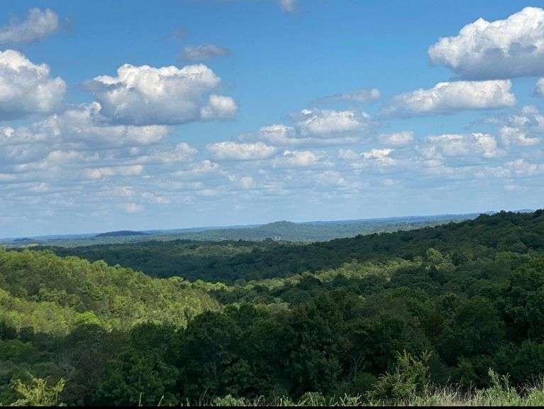 550 acres in Pontiac MO Advantage Auction