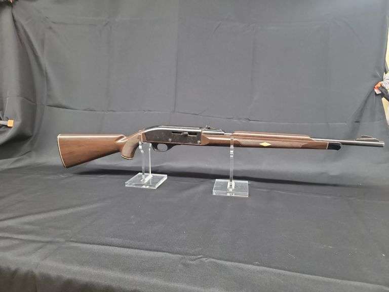 Remington Nylon 66  22 LR Serial #2204460