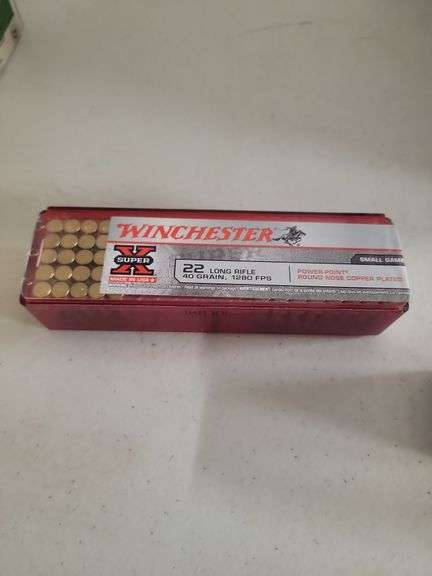 Winchester 22 long rifle 40 grain