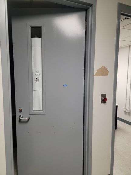 3 ft x 7 ft steel door with window