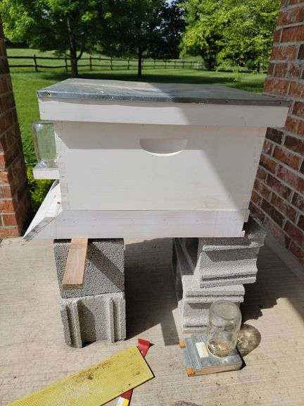 New add..Beehive & feeder