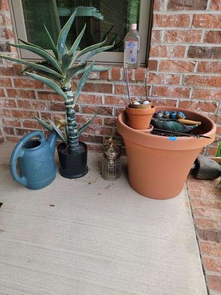 Large flower pot, watering pitcher, plant