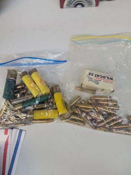 Variety of Ammo 20 gauge, 45 colt, 45 auto