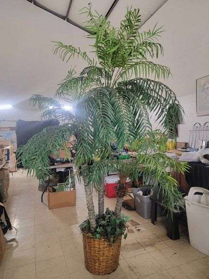 Artificial Palm Tree in Wicker Basket, Approximately 7ft Tall