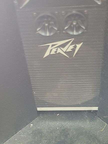 2 Peavey Speakers