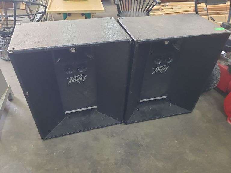 2 Peavey Speakers