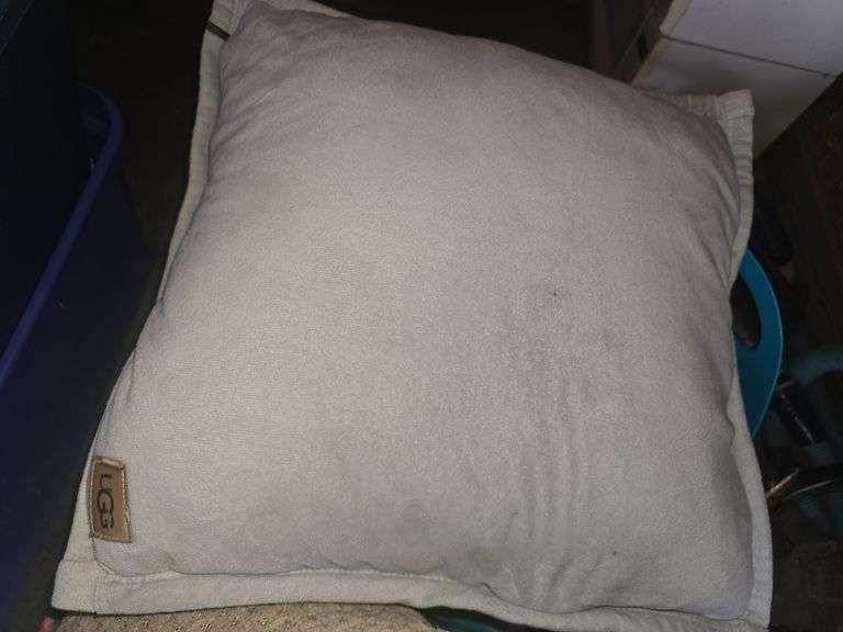 Assorted Throw Pillows