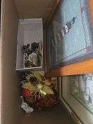 2 Boxes of Hanging Wall Pictures, Decor, Craft Supplies