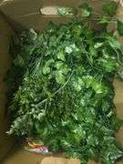 Huge Lot 2 Boxes Assorted Holiday Decor