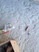 Assorted brass fittings