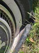 1976 Cadillac El Dorado, One Owner, Runs Momentarily, NEEDS Tires, 500CU Engine