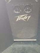 2 Peavey Speakers