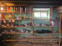 Partial Bottles Of Bug Killer, Paint, Nails, Screws, And Nuts