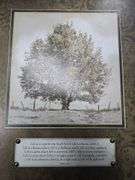 2 Boxes of Wall Art and Picture Frames