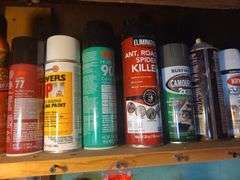 Partial Bottles Of Bug Killer, Paint, Nails, Screws, And Nuts